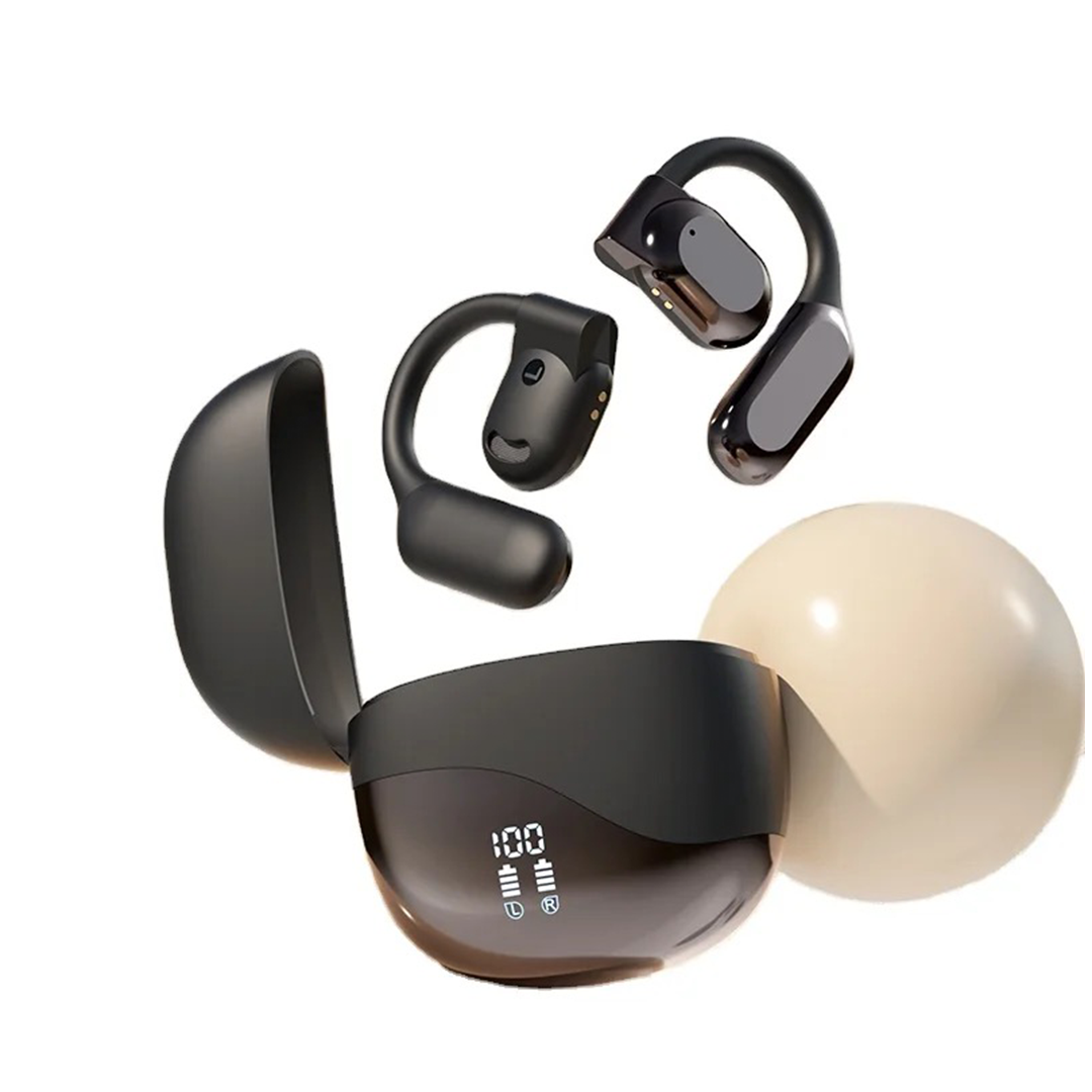 Translation Ear Buds